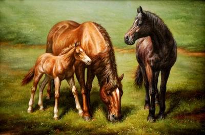 unknow artist Horses 038 Norge oil painting art
